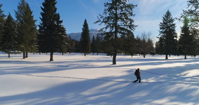 A person is hiking through a peaceful snowy forest with tall evergreen trees and snow-capped mountains in the background. Perfect for themes related to winter activities, nature, solitude, and outdoor adventure.