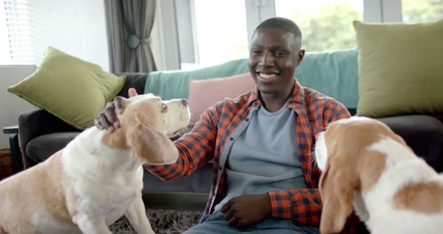Man in plaid shirt and t-shirt smiling while petting two beagle dogs in cozy living room with colorful cushions. Ideal for themes around pet ownership, domestic happiness, relaxation at home, and nurturing relationships with pets.