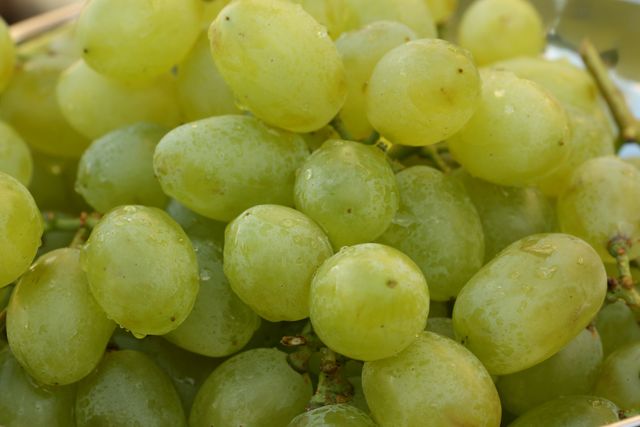 Close-up of fresh green grapes with water droplets on them. Ideal for use in articles about healthy eating, nutrition, agriculture, and fresh produce. Suitable for food blogs, dieting guides, and websites promoting organic and natural foods. This visual can also be utilized for vibrant background images in food-related promotions.