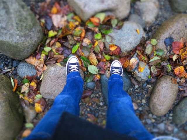 Person wearing casual sneakers and blue jeans standing on ground covered with colorful autumn leaves and large rocks. Could be used for themes related to nature walks, casual wears, fall season outings, and outdoor exploration. Ideal for advertisements showcasing casual footwear, lifestyle blog posts, or scenic autumn landscapes.