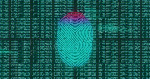 Digital Fingerprint on Cybersecurity Data Interface