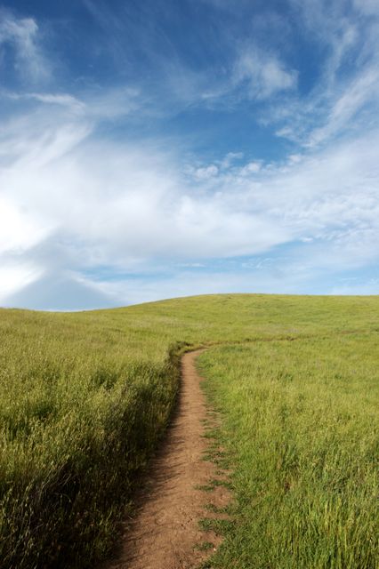 Depicts a tranquil hiking trail through a grassy meadow under a bright blue sky with wispy clouds. Ideal for outdoor adventure advertisements, environmental projects, nature-themed websites, and travel brochures.