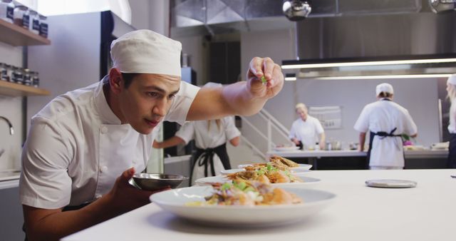 Focused chef meticulously plating gourmet dishes in a modern restaurant kitchen while team members work in the background. Perfect for content related to culinary arts, professional cooking, restaurant industry, chef training programs, food preparation, teamwork, and upscale dining experiences.