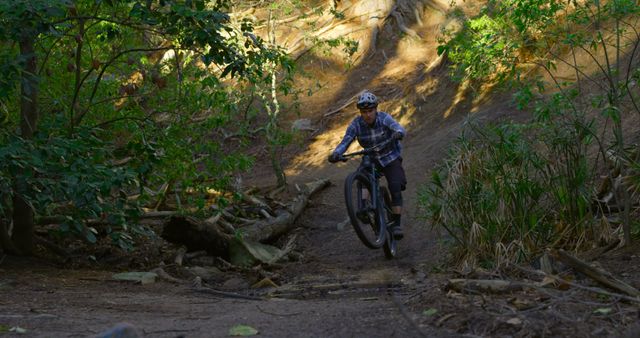 Mountain Biker Riding Through Forest Trail in Afternoon Light - Download Free Stock Images Pikwizard.com