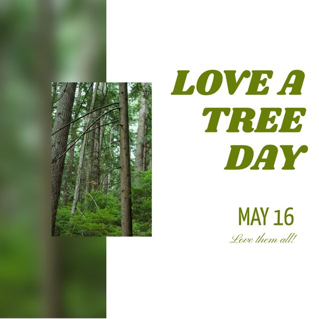 Promotional Image for Love a Tree Day with Forest Background - Download Free Stock Templates Pikwizard.com