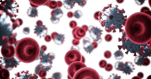 transparent covid-19 virus illustrated with red blood cells - Download Free Stock Videos Pikwizard.com