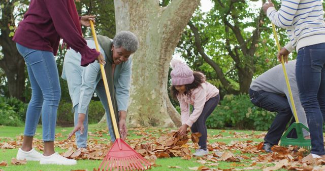 Multigenerational family enjoying time together outdoors; elderly family member and child with rakes, collecting leaves. Ideal for illustrating family activities, health and wellness, community work, and autumn-themed promotions.