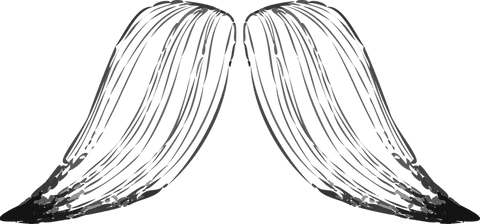 Stylized Handlebar Moustache on Transparent Background, Grey Brush Effect - Download Free Stock Videos Pikwizard.com