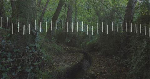 Flowing narrow forest stream cutting leaf-strewn ravine with moody light-bar overlay