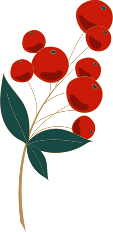 Red Berries on Golden Stem with Green Leaves Transparent Background - Download Free Stock Videos Pikwizard.com