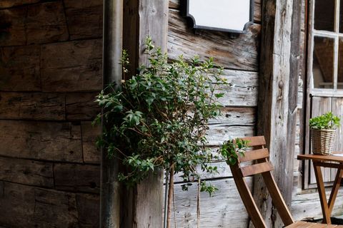 Rustic cottage porch featuring potted plants, weathered wood chair and cozy table