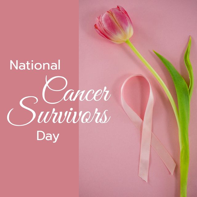 Overhead view of national cancer survivors day text by tulip flower with ribbon on pink background. cancer awareness campaign concept.