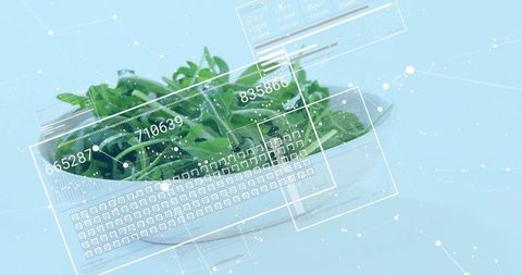 Modern Agriculture and Technology Integration