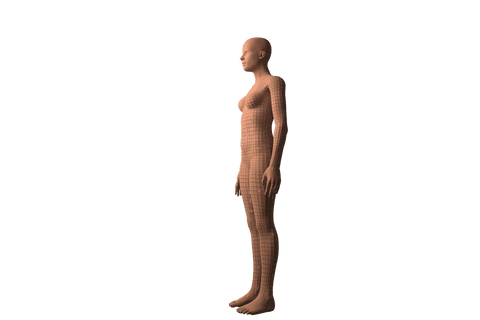 transparent full body 3d female model in profile view - Download Free Stock Videos Pikwizard.com