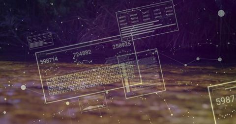 Holographic Interface Floating Over Forest Floor with Numeric Readouts and Data Nodes