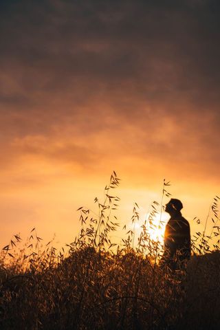 Solitary silhouette standing in tall grass watching golden sunset with warm backlight