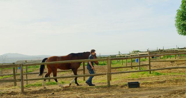 Man Walking Horse in Rural Farm Setting on a Sunny Day - Download Free Stock Images Pikwizard.com