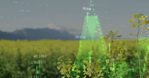Futuristic Data Integration in Nature with Digital Interface - Download Free Stock Images Pikwizard.com