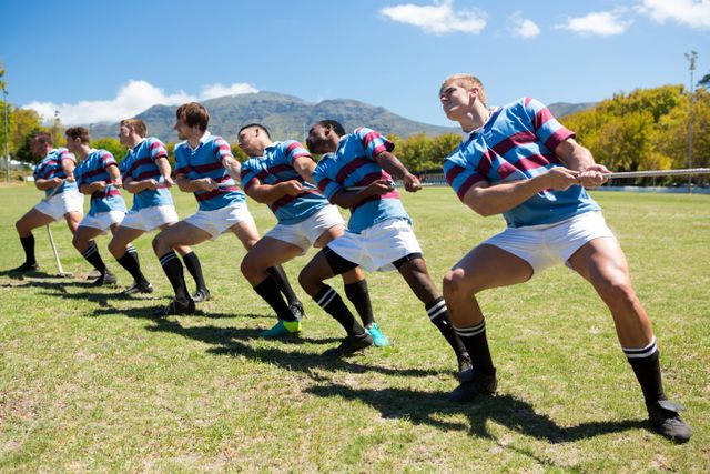Full length of rugby players playing tug of war on grassy field - Download Free Stock Photos Pikwizard.com