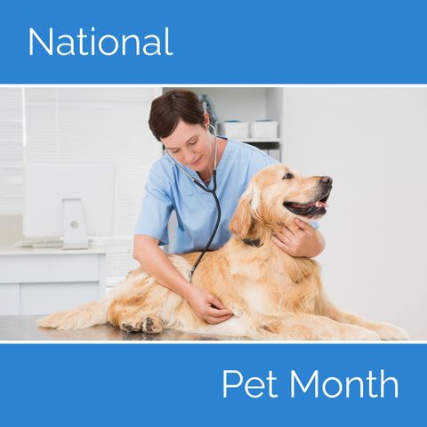 veterinarian examining labrador during national pet month - Download Free Stock Templates Pikwizard.com