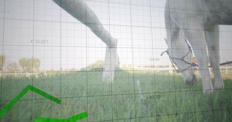 Grazing Light Horses in Sunlit Pasture with Data Grid and Green Trend Lines