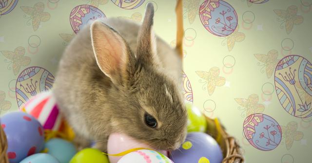 Digital composite of Easter rabbit with eggs basket in front of pattern