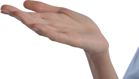 open female hand gesturing isolated on transparent background - Download Free Stock Videos Pikwizard.com