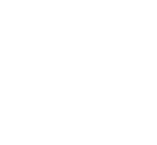 American Football Player Silhouette PNG, Transparent Background - Download Free Stock Videos Pikwizard.com