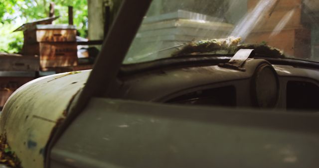 Image showing an abandoned vintage car dashboard overgrown by vegetation, located in an outdoor setting. Ideal for themes related to decay, abandonment, history, and nature reclaiming human-made objects. Can be used in projects focusing on nostalgia, historical preservation, and the passage of time.