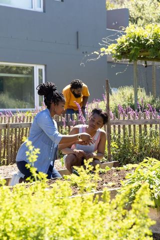 Family gardening together kneeling and tending seedlings in sunny community raised beds
