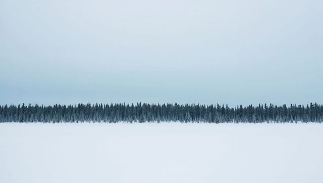 Minimalist winter treeline stretching across frozen plain under pale overcast sky