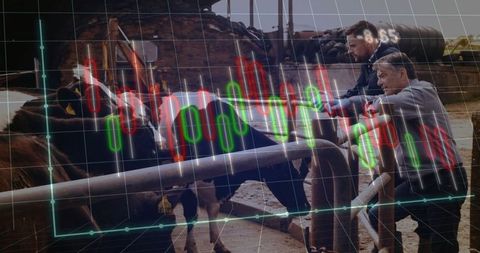 Farmers Analyzing Dairy Market Trends with Data Insights Overlay