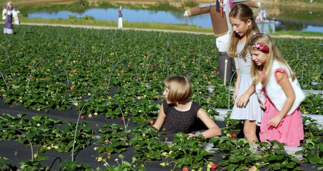 Caucasian girls enjoy a sunny day picking strawberries outdoors. They're having a delightful time engaging in a fun and educational outdoor activity.