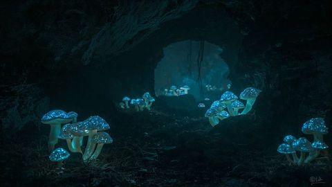 Enchanting bioluminescent mushrooms illuminating mystical cave passage