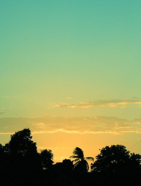 Tropical Sunset with Silhouetted Palm Trees - Download Free Stock Photos Pikwizard.com