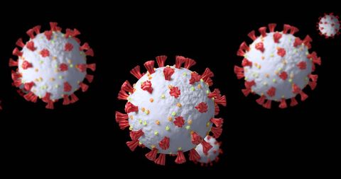 Macro Detailed 3D Models of Coronavirus Particles