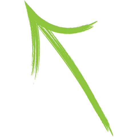 green directional arrow on transparent background - Download Free Stock Videos Pikwizard.com
