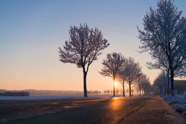This photo captures a serene winter sunrise over an icy rural road lined with snowy trees. Ideal for use in travel magazines, inspirational quotes, landscape photography blogs, or seasonal greeting cards. The peaceful ambiance and natural elements highlight the beauty of winter mornings in the countryside.