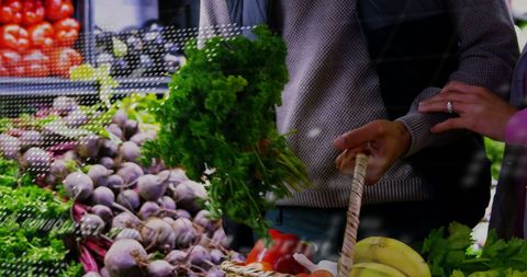 Digital Overlay of Grocery Shopping with Financial Data - Download Free Stock Images Pikwizard.com