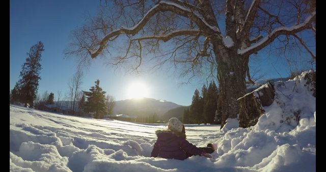 Child Enjoying Snow Under Tree in Winter Sunrise - Download Free Stock Images Pikwizard.com