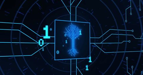 Binary Code and Circuit in Digital Cyber Network Visualization - Download Free Stock Images Pikwizard.com