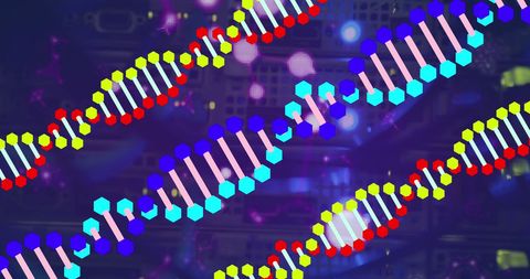 Colorful DNA Strands with Digital Interface and Server Technology - Download Free Stock Images Pikwizard.com