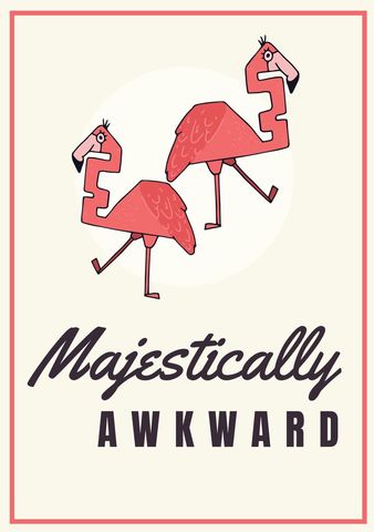 Whimsical Flamingos Embracing Awkwardness with Style - Download Free Stock Templates Pikwizard.com