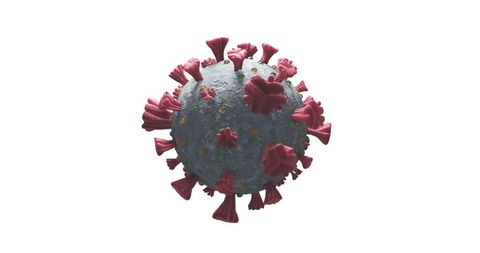 Coronavirus Covid-19 Cell Close-Up with White Background