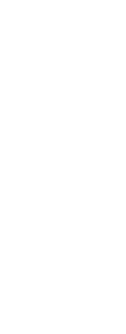 Silhouette of empowered woman on transparent background standing with javelin