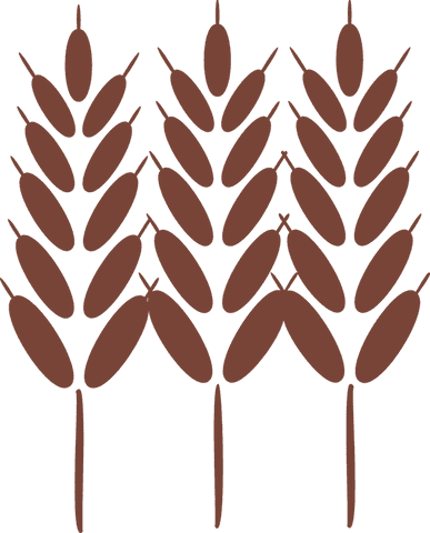 Stylized wheat stalks flat vector design on transparent background