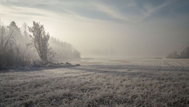 Misty frost-covered meadow at dawn with frozen river and hoarfrost trees