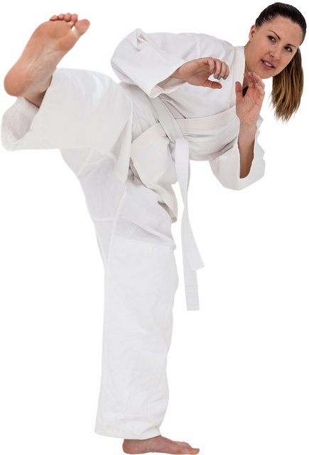 Female Martial Artist in High Kick Karate Stance on Transparent Background - Download Free Stock Videos Pikwizard.com