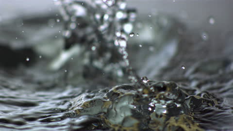 Close-up Parsnip Splash in Water Detailed Motion