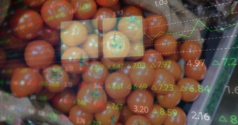Green Supply Chain Analytics Over Fresh Market Tomatoes